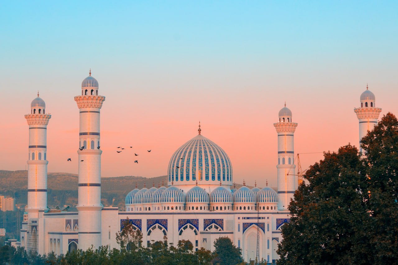 photo_2023-06-08_19-03-05