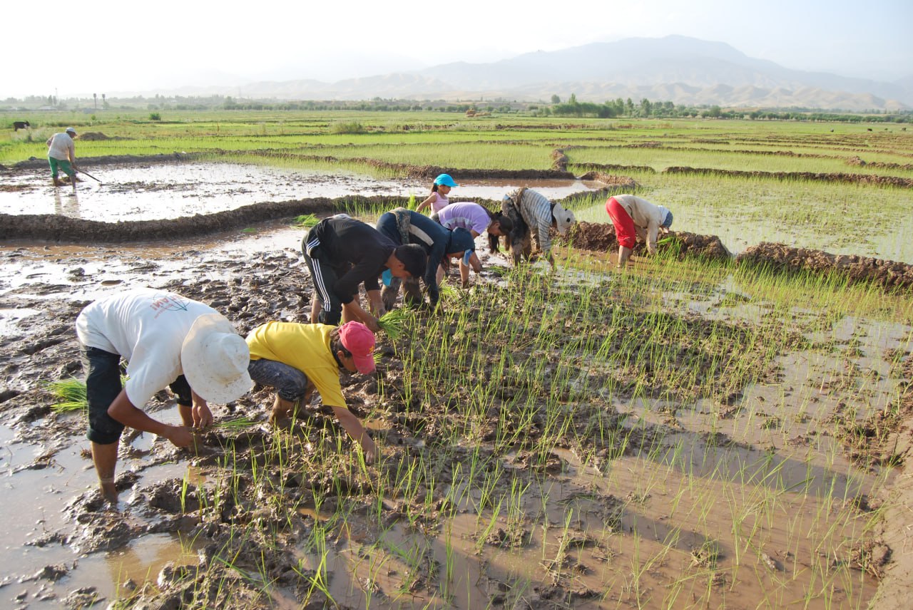 photo_2023-06-12_15-07-36