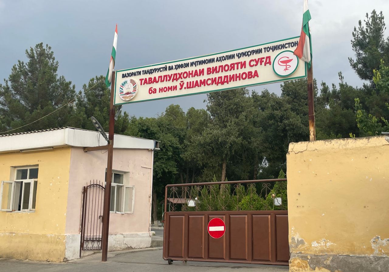 photo_2023-06-13_10-08-51