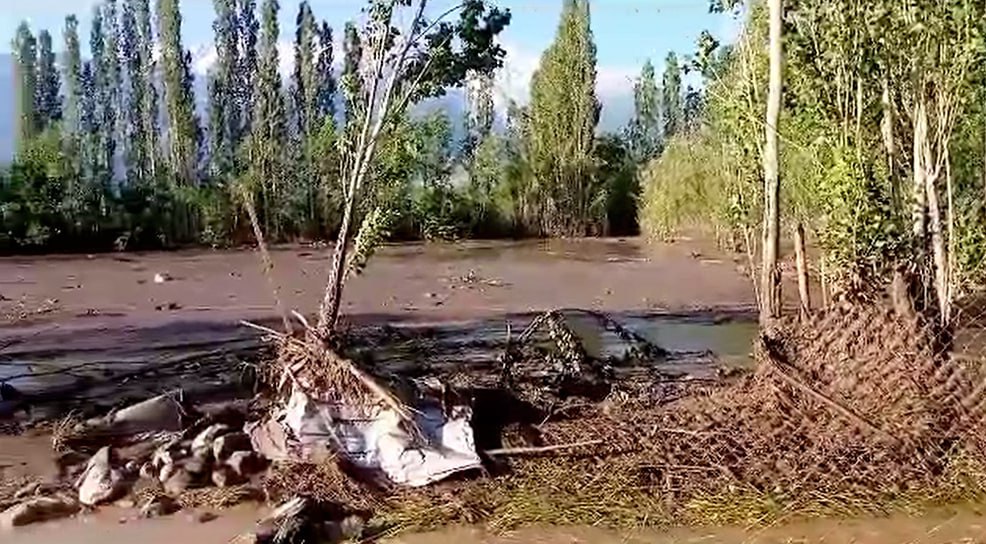 photo_2023-06-15_11-19-01