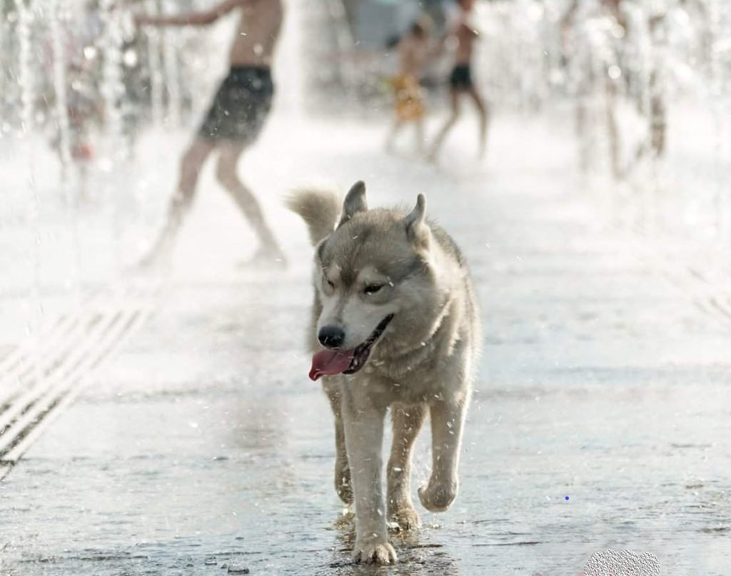 photo_2023-06-16_12-37-58-transformed