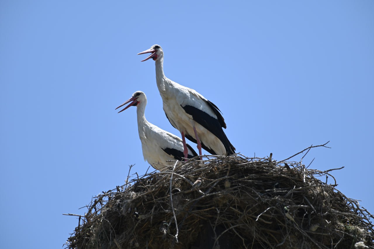 photo_2023-06-16_15-20-05