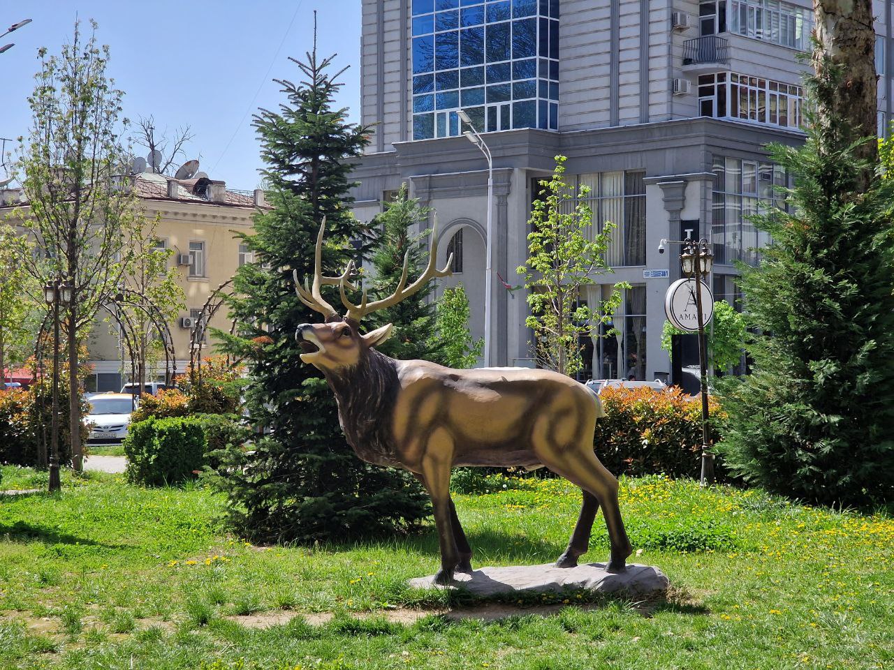 photo_2023-07-05_16-57-46