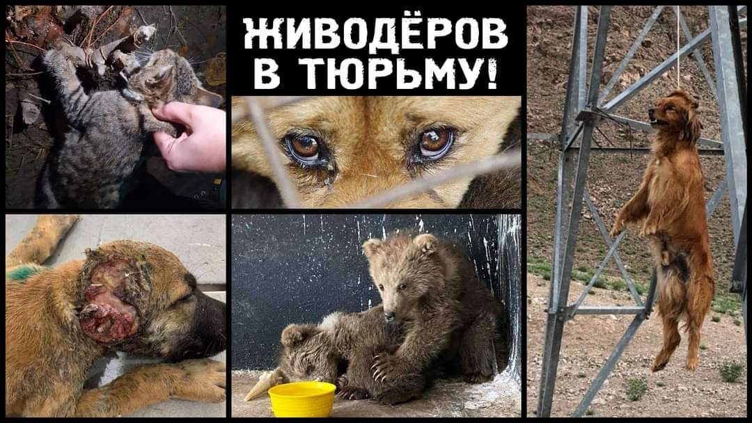 photo_2023-07-07_16-49-17