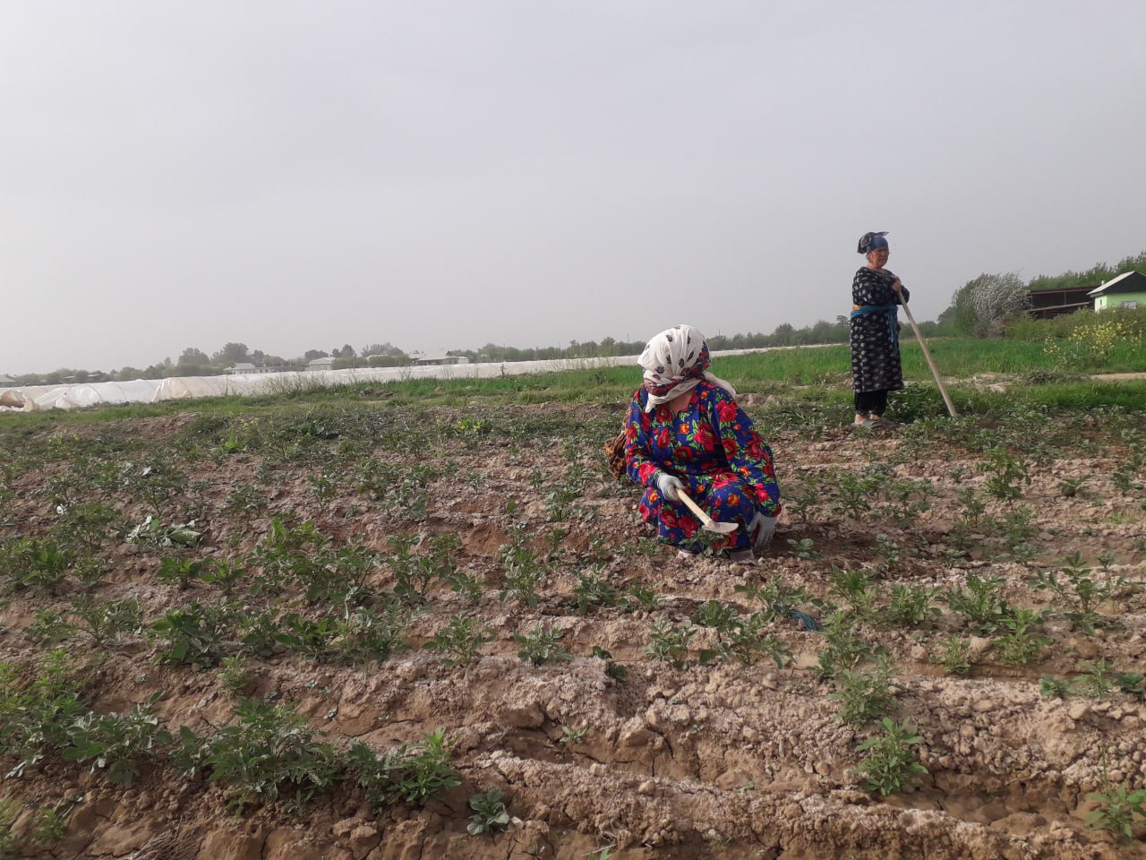 photo_2023-07-13_09-46-58