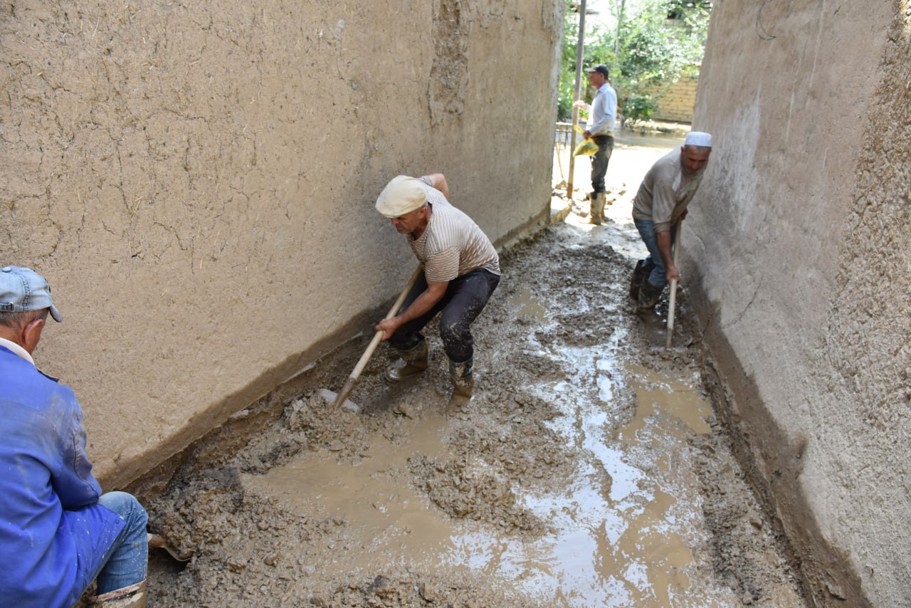 photo_2023-07-31_10-41-47
