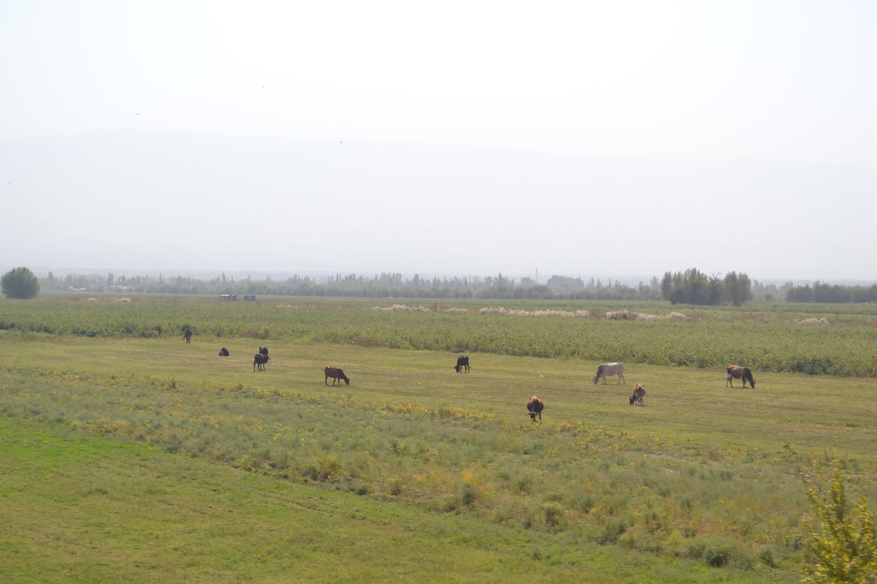 photo_2023-07-31_11-18-01