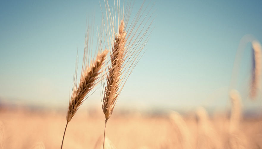 Snimok-ekrana-2023_07_25-v-09