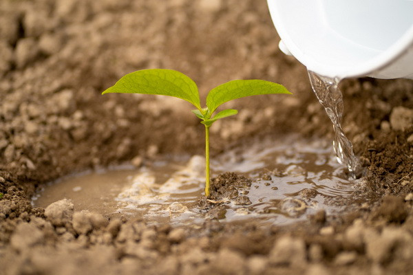 03-01-33-45-utc-scaled_2