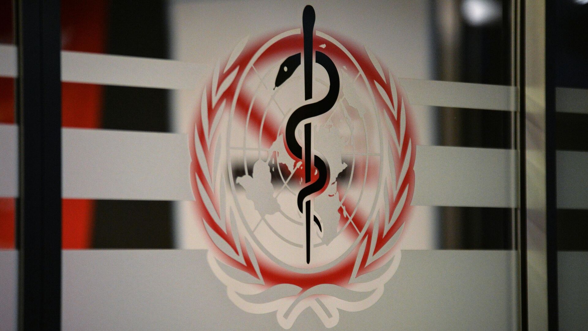 1767110908_0_61_3424_1987_1920x0_80_0_0_2ec48ae51d08cbcc38c1bda38f88056f