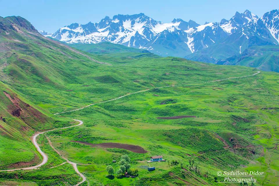 240390465_4202636853198485_8851489098833367524_n