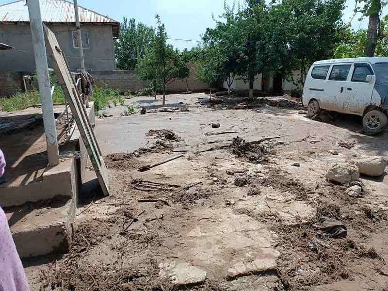 ead61542c5e72ae4683c1