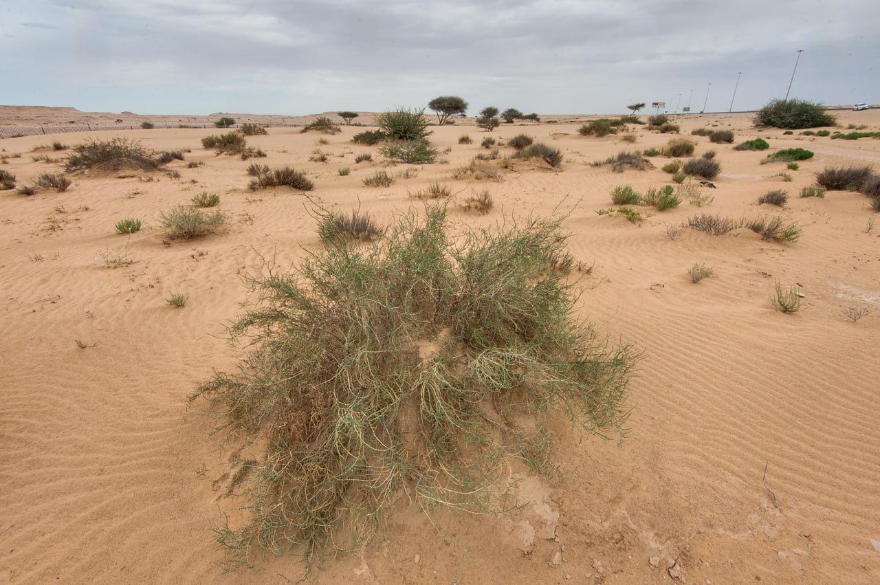 photo_2023-08-01_10-00-55
