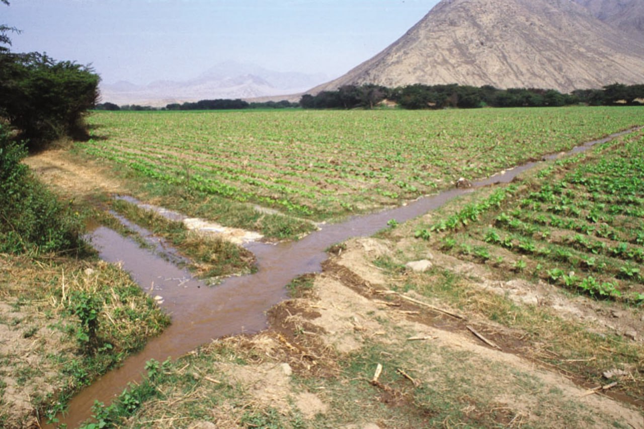 photo_2023-08-07_18-07-37