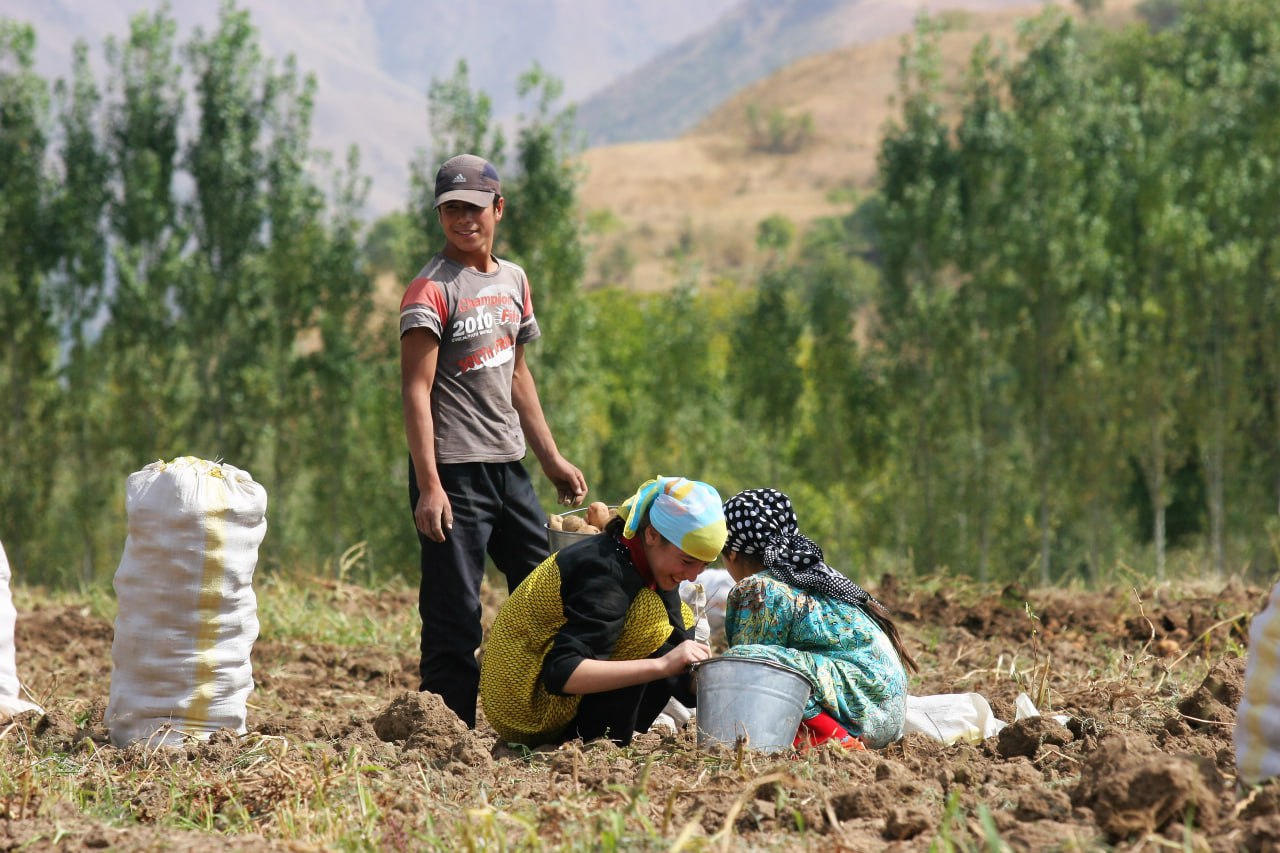 photo_2023-08-18_13-43-54