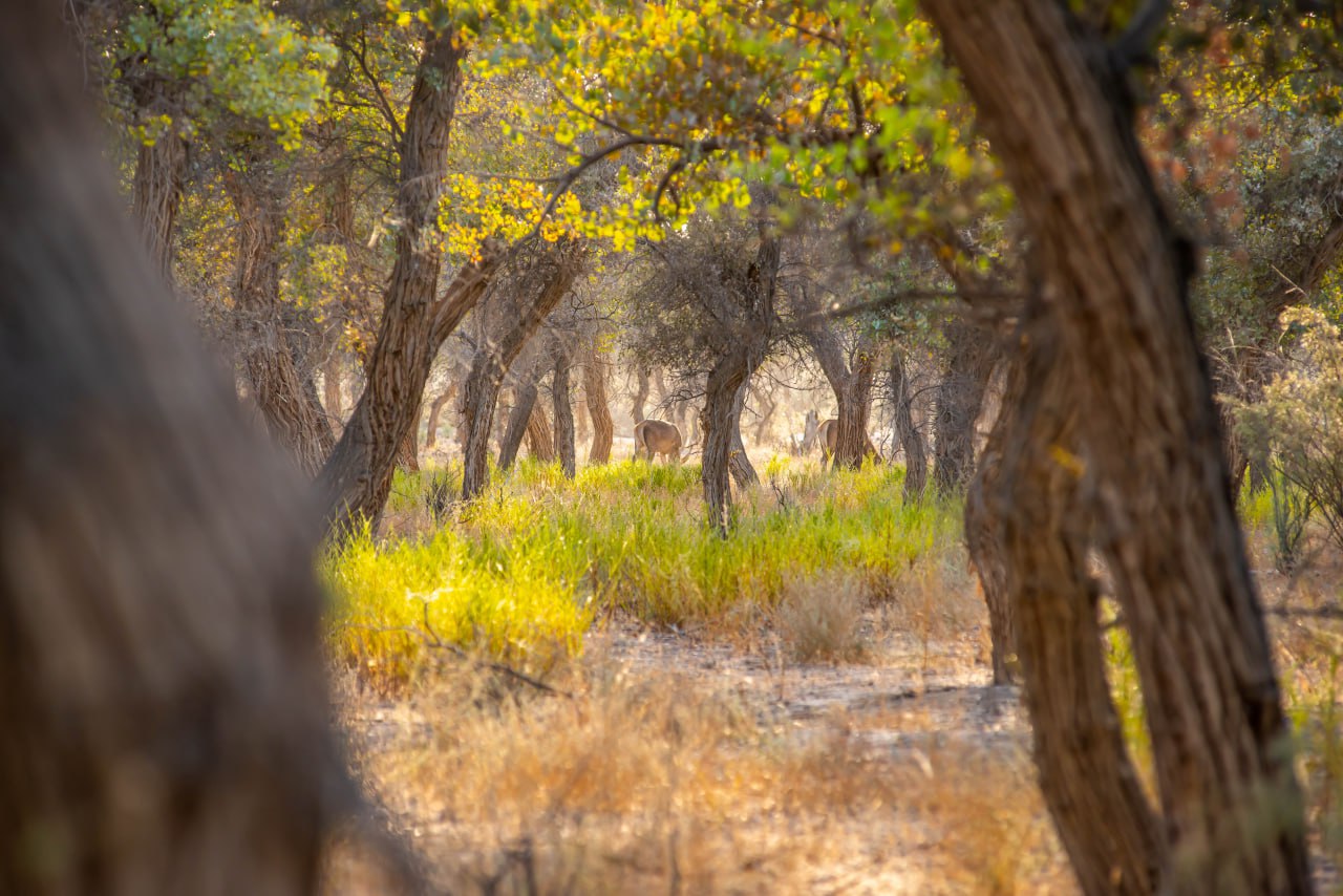 photo_2023-09-05_11-14-35