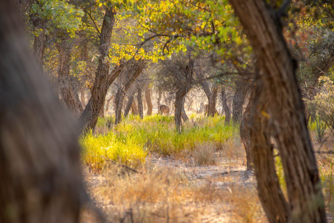 photo_2023-09-20_15-40-23