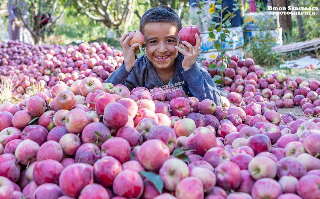 photo_2023-09-25_16-15-51