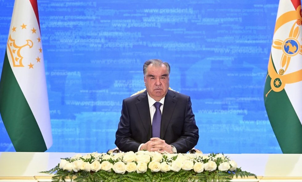 53234463798_2f9d6a102a_c