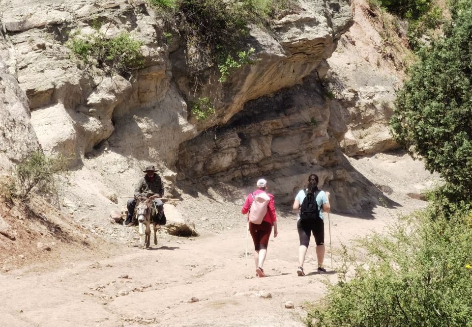 photo_2022-11-22_20-08-15