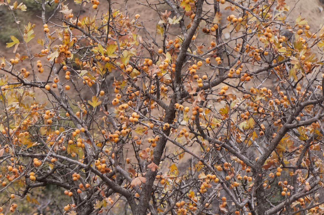 photo_2022-11-22_20-08-20