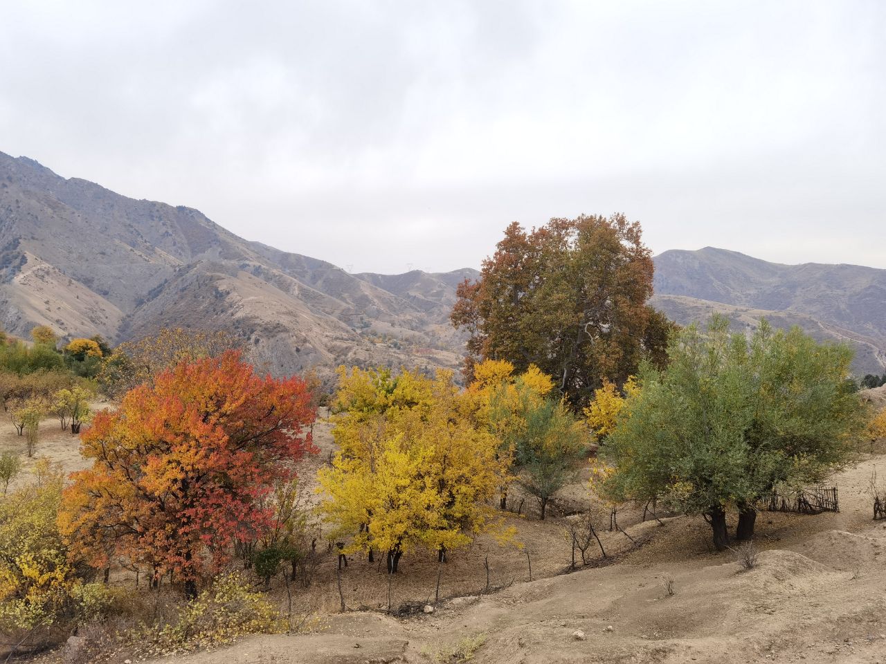 photo_2022-11-22_20-08-21