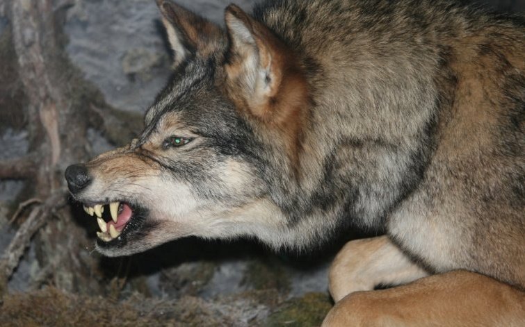 photo_2023-10-02_09-09-05