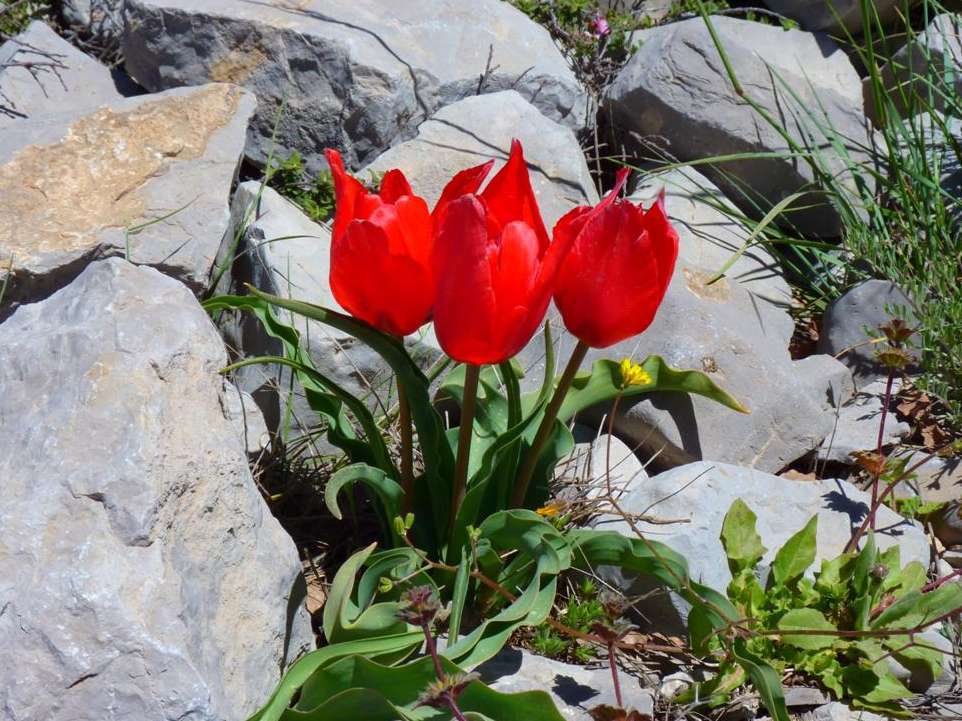 photo_2023-10-13_09-58-47