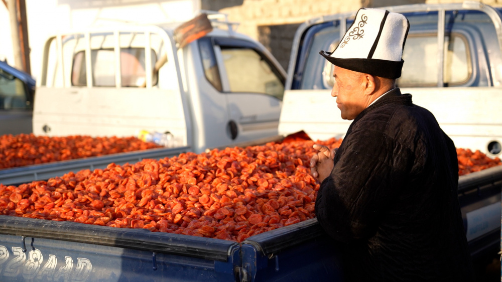 2023-10-16_15-42-24_673213