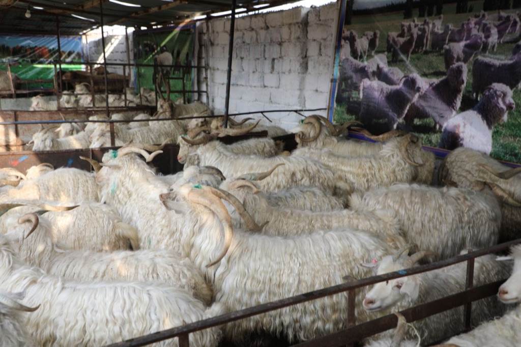 404600690_910611447488936_8118894348505046538_n