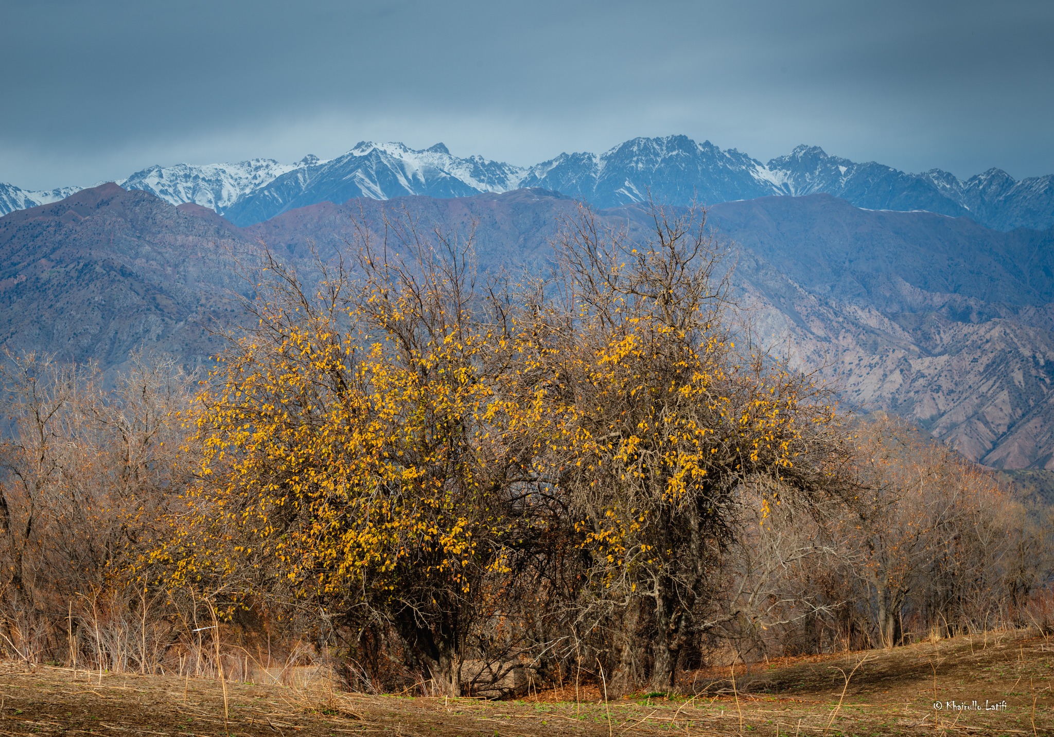 406004669_7599178060096403_5469679105650270146_n