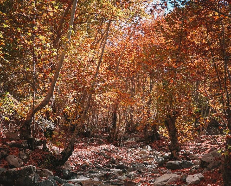 photo_2022-11-14_14-25-50