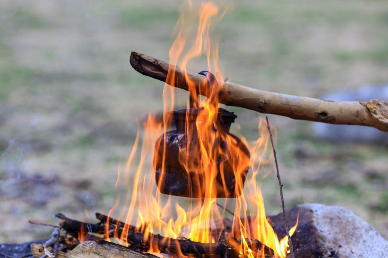 photo_2022-11-14_14-29-56