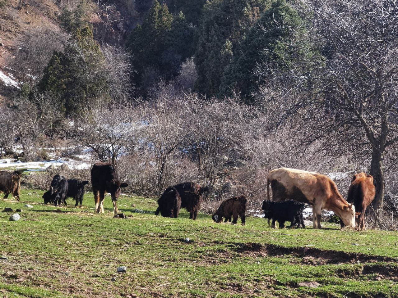 photo_2023-11-08_11-07-32