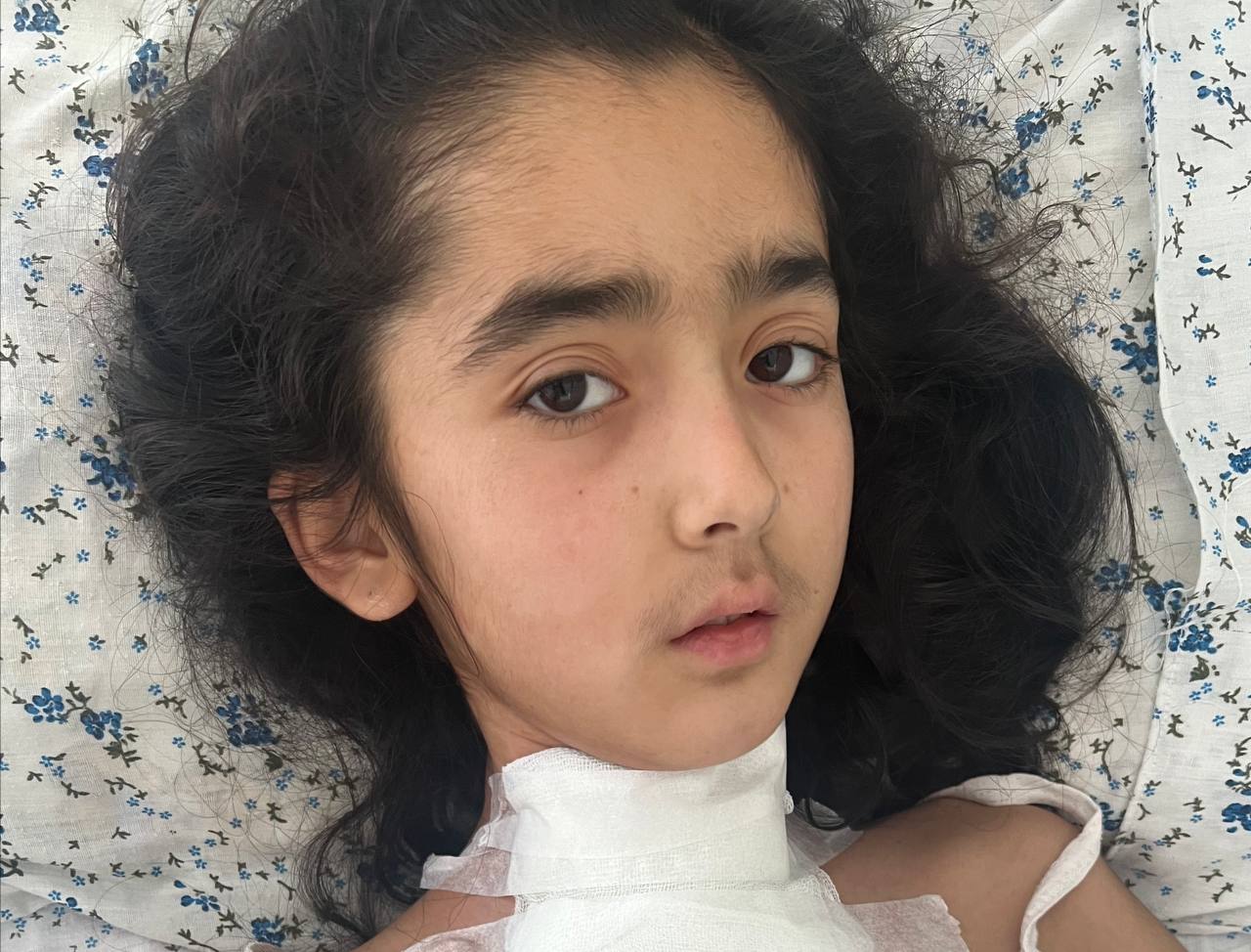 photo_2023-11-10_09-43-45