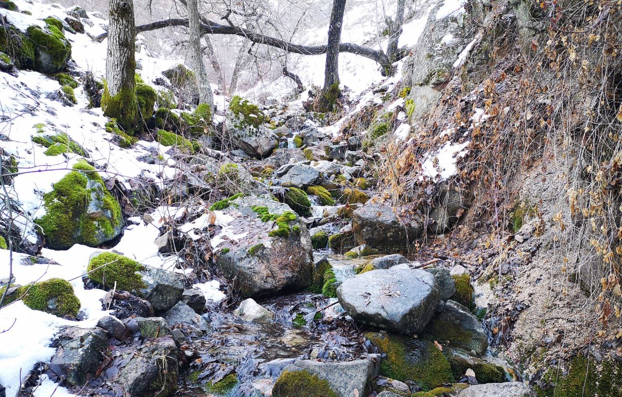 photo_2023-11-15_00-18-37