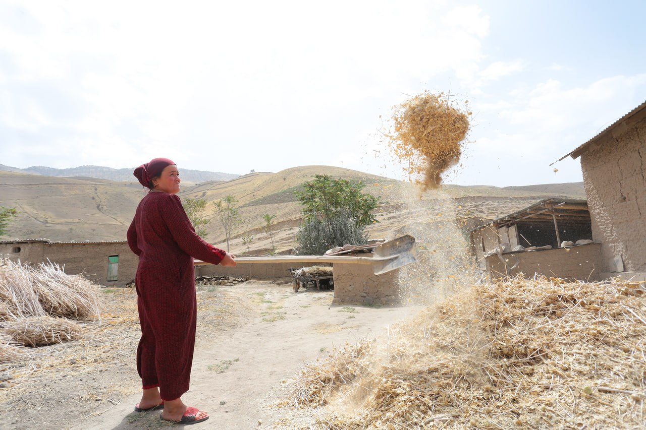 photo_2023-11-15_15-13-51