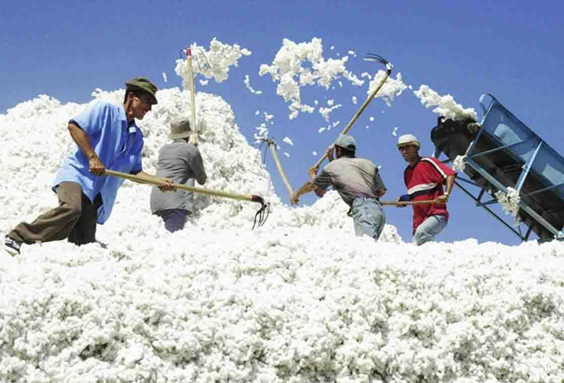 photo_2023-11-16_07-57-12