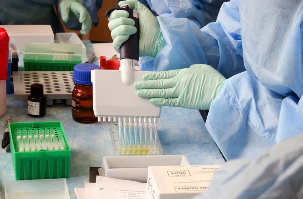 photo_2023-11-22_14-31-24