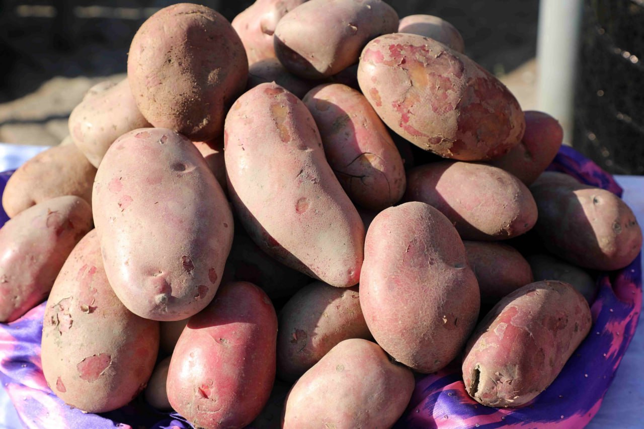 photo_2023-11-29_16-23-27