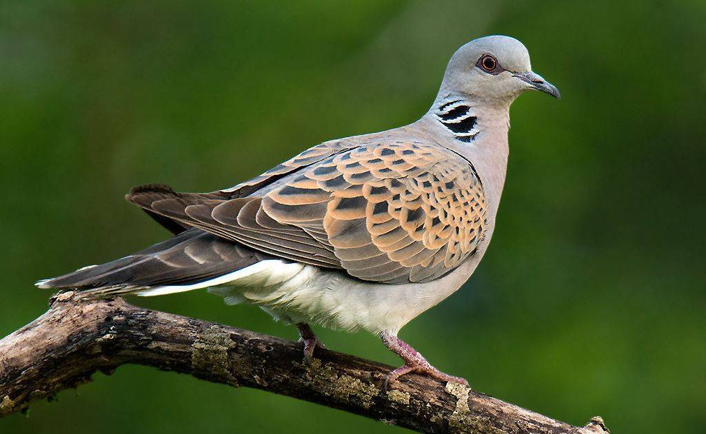 photo_2023-11-30_20-12-23