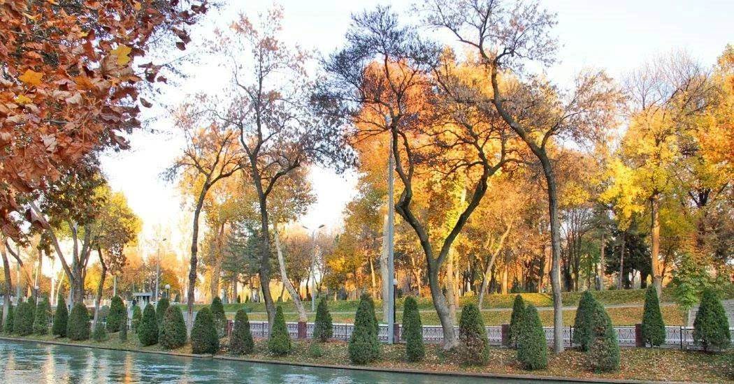 43a6bdd09885fd0afbffef44205162fa