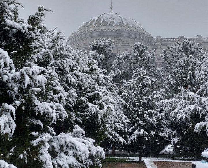 photo_2023-12-16_12-53-43