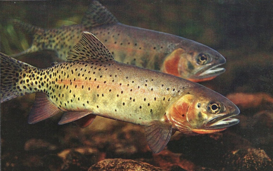 photo_2023-12-20_12-00-27