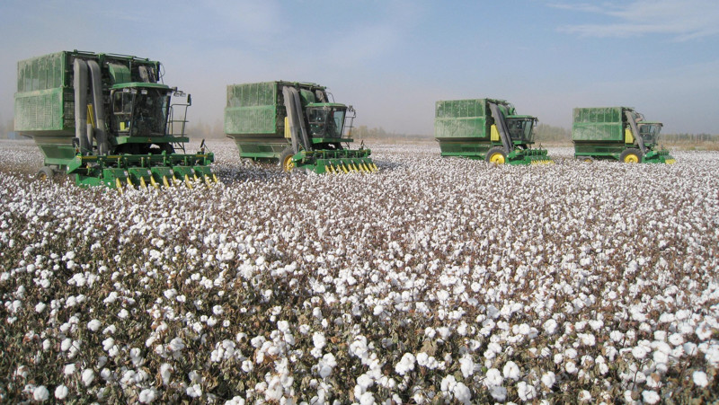 c3422194-e2c0-447e-bff0-455cf1ad2720