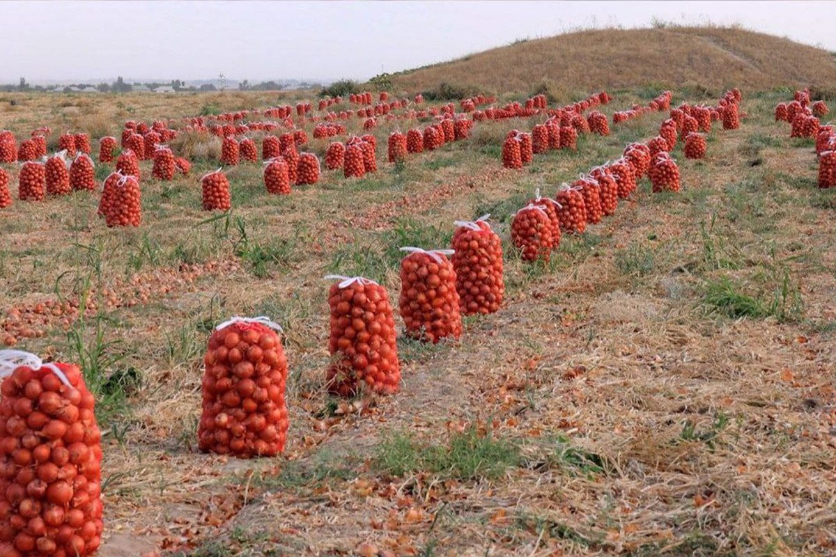 photo_2024-01-09_14-47-15