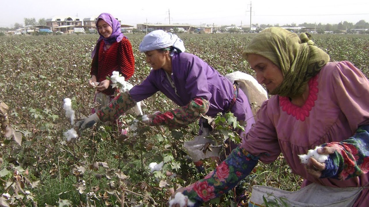 photo_2024-01-10_09-55-26