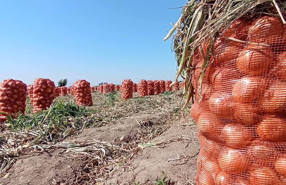 photo_2024-01-15_12-07-51