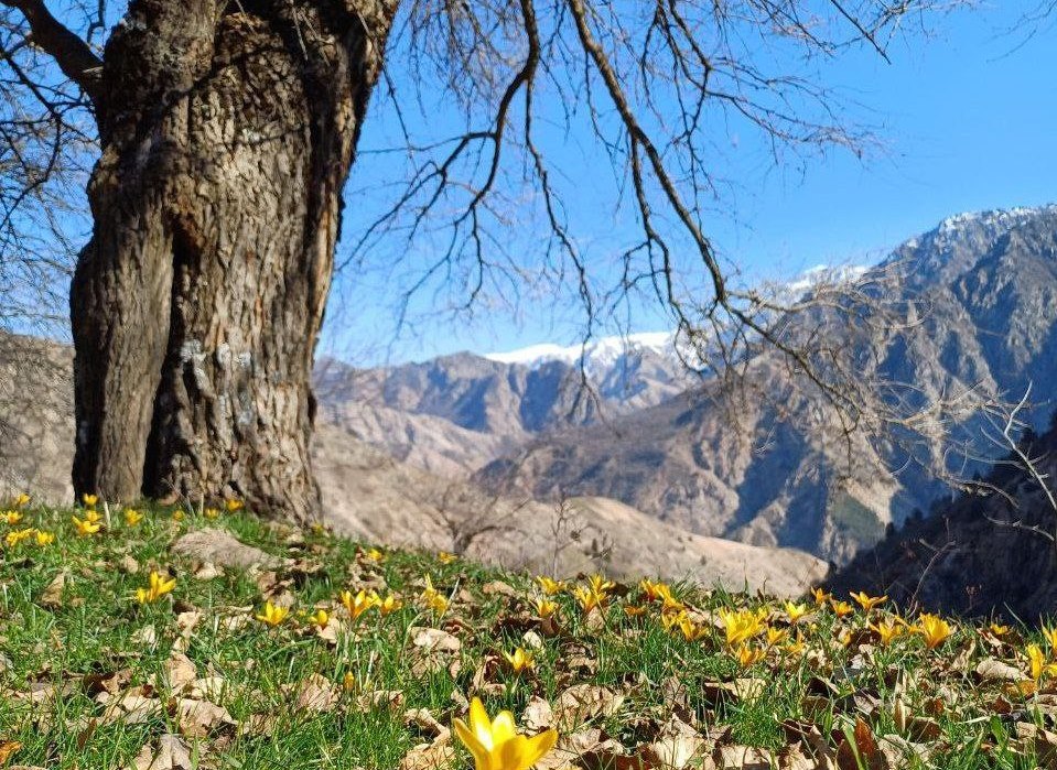 photo_2024-01-25_21-41-49