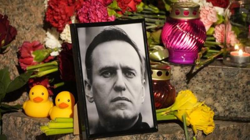 6d9df331496124f07a-800x0